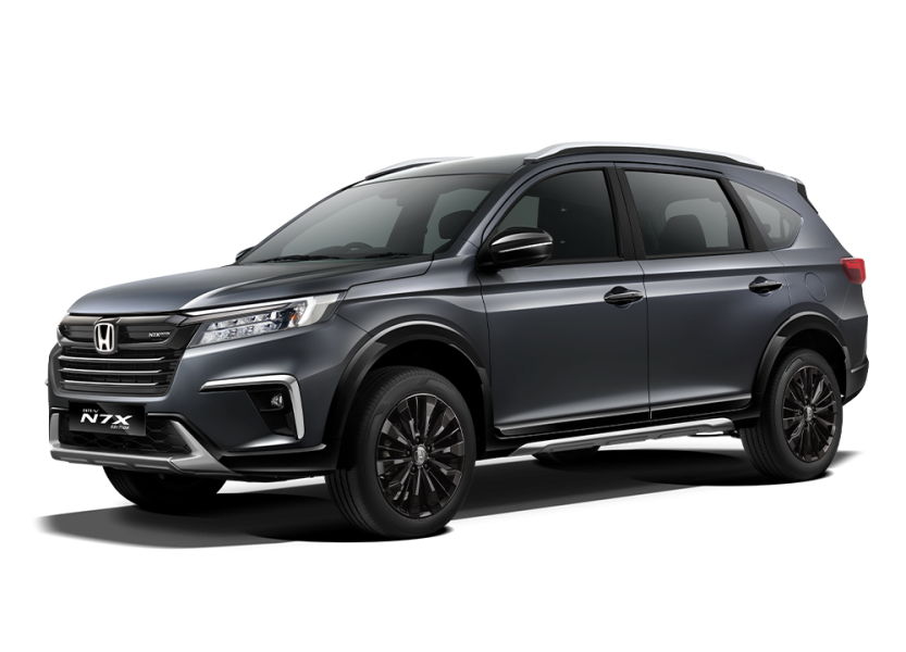 Meteorid Gray Metallic